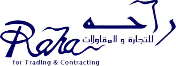 Partner company 1